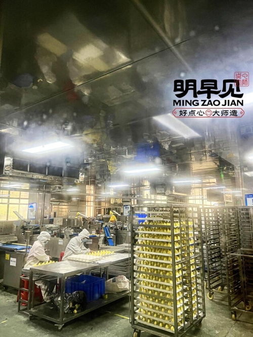 明早見中央智慧工廠 8000平米賦能，重塑包點行業完整供應鏈