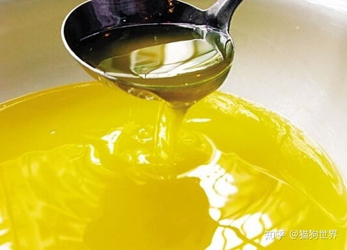 深耕品質，賦能品牌 探尋中國優質寵物食品OEM代工與供應鏈管理服務